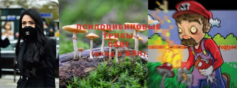 Псилоцибиновые грибы MAGIC MUSHROOMS  Ковров 